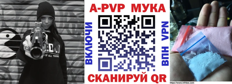 Альфа ПВП СК  Заволжье 