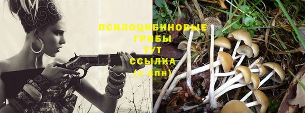 трава Абдулино