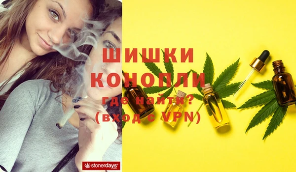 мдма Новозыбков