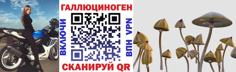 сколько стоит Заволжье мориарти как зайти Галлюциногенные грибы ЛСД